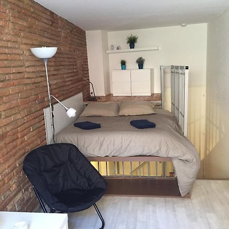 Le Petit Moulin, Duplex Hypercentre Toulouse Appartamento Esterno foto